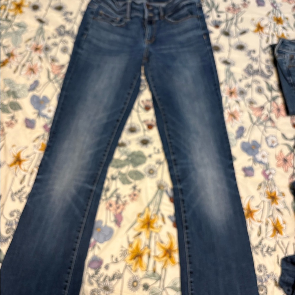 BKE Women's Boot Cut Jeans in Blue